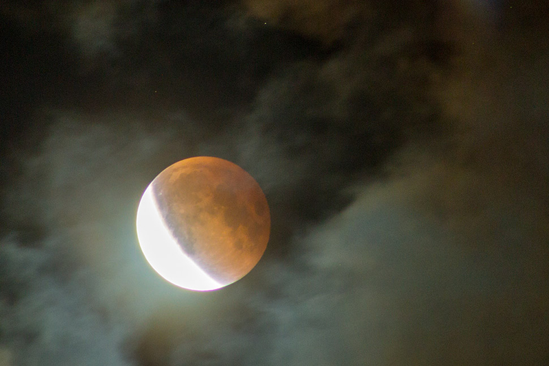 Illustration for article titled 34 Amazing Photos Of The Super Blood Moon